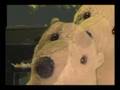 Circus Bear Mozart