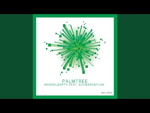 Palmtree (Schwarz & Funk Remix)