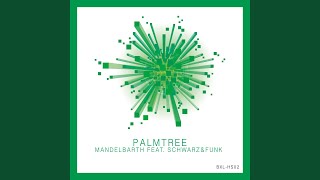 Palmtree (Schwarz &amp; Funk Remix)