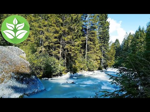 Turquoise mountain river in the forest. Gentle noise (sound)