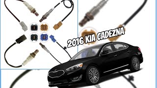 2016 Kia Cadenza 3.3L Oxygen Sensor Location