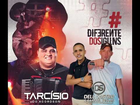 REMIX DELL CASTRO SM TECLAS APRENDI A MALTRATAR TARCÍSIO ACORDEON