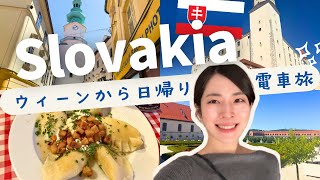 【スロバキア日帰り旅】ウィーンからブラチスラバに行ってきた!Bratislava Slovakia, From Vienna