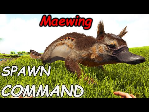 Maewing Spawn Command
