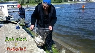 Рыбалка на гребном канале в нижнем новгороде