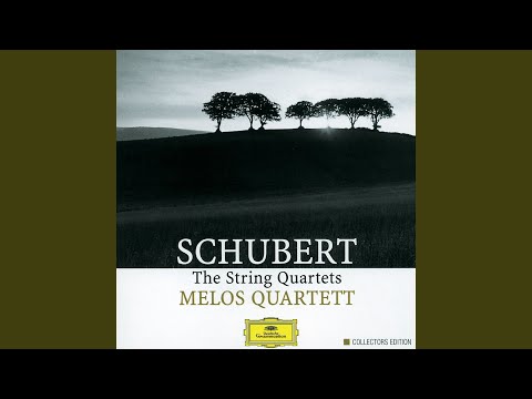 Schubert: String Quartet No. 12 in C Minor, D. 703 "Quartettsatz"
