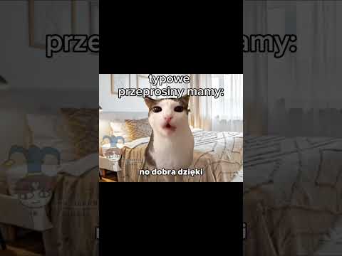 typowe przeprosiny mamy:
