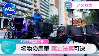 150年の歴史に幕 名物の馬車 禁止法案可決【WBS】