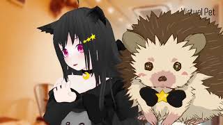 【SHOWROOM】totoฅ•ω•ฅとある猫カフェ＜ミラー配信＞