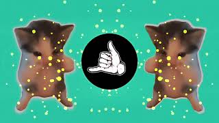 Download lagu DJ KICAU KICAU KICAU MANIA SLOW VIRAL TIKTOK FULL SONG MAMAN FVNDY 2026  mp3