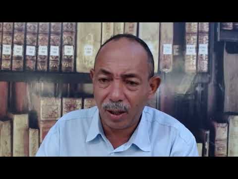 Sonhar com uma onça pitada o que significa sonho com onça