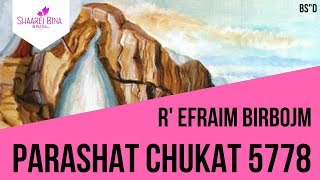 Parashat Chukat 5778