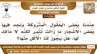 [1800 -3022] عندنا بعض الحقول المتروكة وفيها بعض الأشجار المثمرة؛ هل يجوز لنا الأكل منها؟