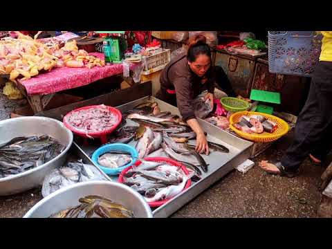 Morning Market in Cambodia Along National Highway6