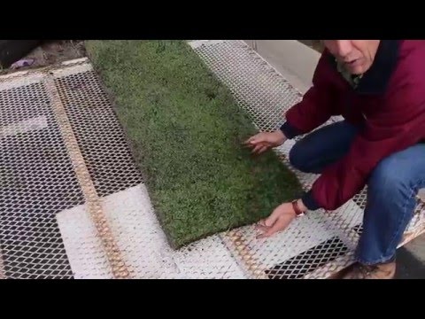 Executive Care Landscape February 2016 - Kurapia