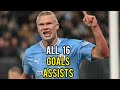 Erling Haaland • All 16 Goals & Assists 23/24