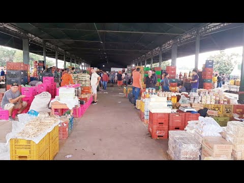 CEASA DE TIANGUÁ CEARÁ 