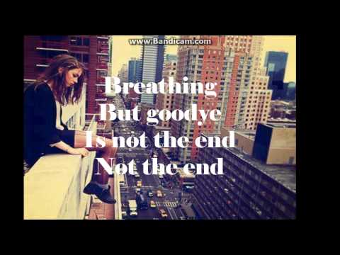 Never Had You video
