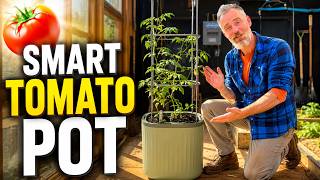 Your NEXT Self-Watering Tomato Planter Pot