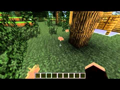 mcspotlights - Minecraft Biomes: Swamp