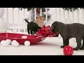 Super Cute Yule Log