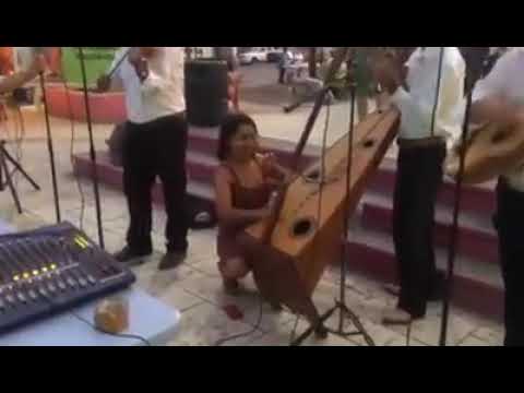 Grupo Hermanos Tapia "En Vivo"