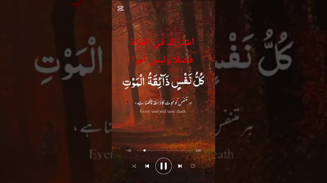 "إِنَّ أَرْضِي وَاسِعَةٌ".. دعوة للعبادة وتذكير بلقاء الله ✨🌍
