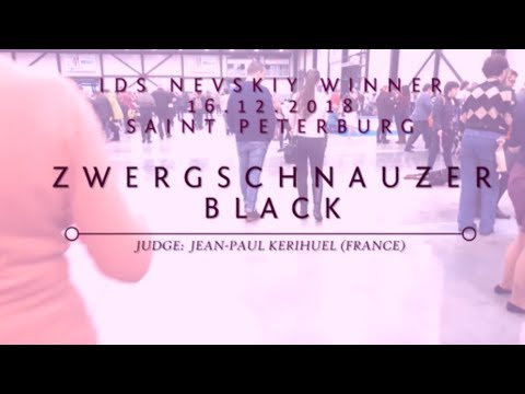 IDS Nevskiy Winner 16/12/2018 Saint Peterburg Zwergschnauzer BLACK