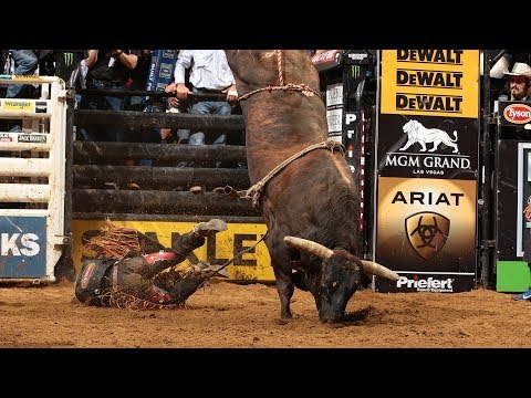 One of The RANKEST Bulls to Ever Live: Asteroid