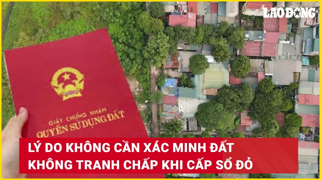 Lý do không cần xác minh đất không tranh chấp khi cấp sổ đỏ