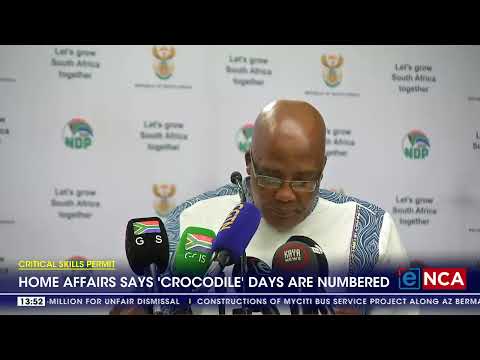 Home Affairs minister vows to remove illegal immigrants