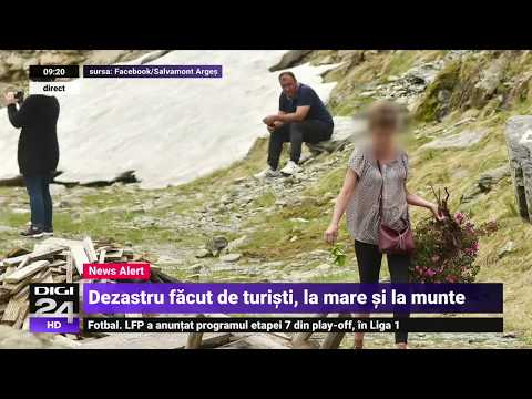 Femeia care a rupt bujori de munte poate fi amendată cu până la 5.000 de lei
