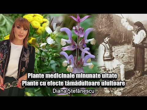 , title : 'Plante Medicinale Minunate Uitate * Plante Cu Efecte Tamaduitoare Uluitoare'