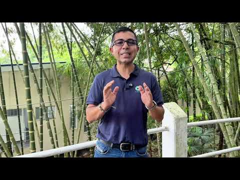 SUSPENDEN EXPLOTACIÓN ilegal de carbón de piedra en Lenguazaque, Cundinamarca