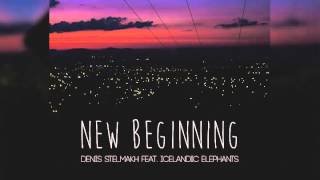 Denis Stelmakh - Afraid of Destiny (Icelandic Elephants Remix)