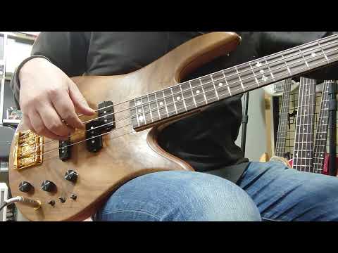 Fodera Monarch 4 Deluxe Custom Walnut image 5