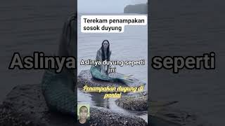 Download lagu Penampakan sosok duyung di Salah satu pantai. #shortsvideo #duyung #putriduyung #duyung #duyungasli mp3