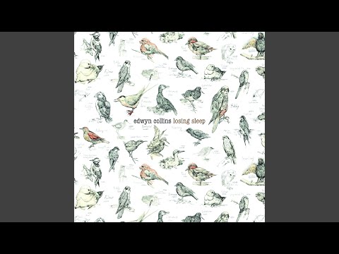Searching for the Truth - Edwyn Collins