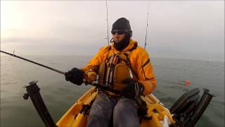 preview picture of video 'A Big Chesapeake Bay Striper'