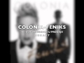 Colonia Feniks album teaser 