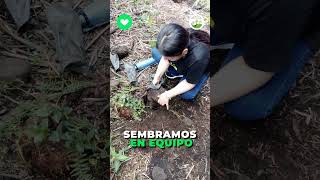  ¡Increíble trabajo de Fundación Puntos Verdes y FRDA!