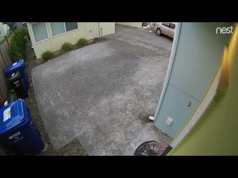 Driver Reverses Into Back of House - 992251