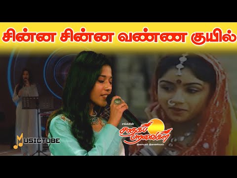 சின்ன சின்னவண்ண குயில்! #musictube #saadhagaparavaigal