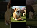 Smart Fat Cat Tricks Dog Steals Food