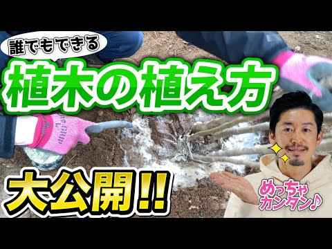 イロハモミジの場所は？