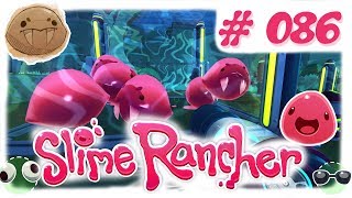 Unsere eigenen Säbel-Slimes  ♡  #86 🏵 Let's Play Slime Rancher