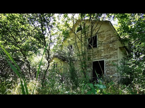 ÖDEHUSET VID MOTORVÄGEN - Blekinge - 200814 - Huawei p30 PRO (Ronneby - Karlshamn)