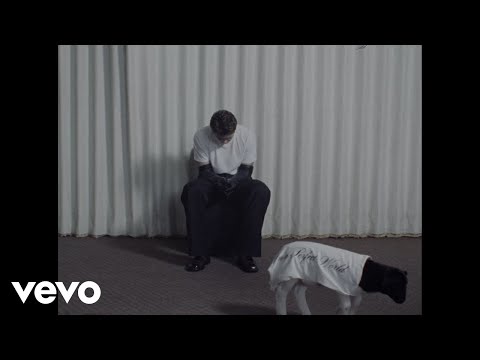 The Kid LAROI - NEVER CAME BACK (Official Visualizer)