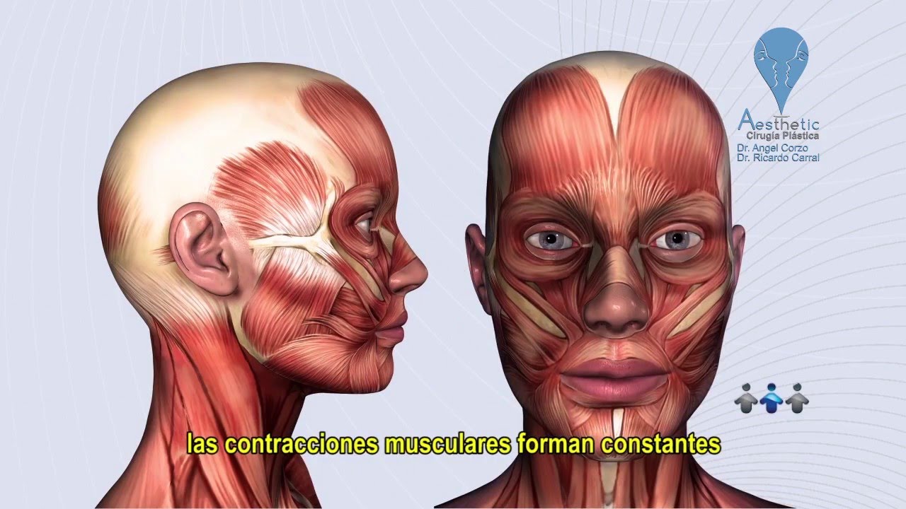 Ricardo Carral Santander-21