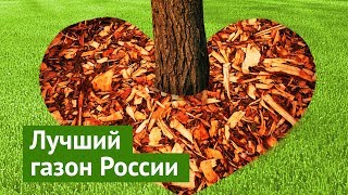 Газон, который должен лежать по всей стране